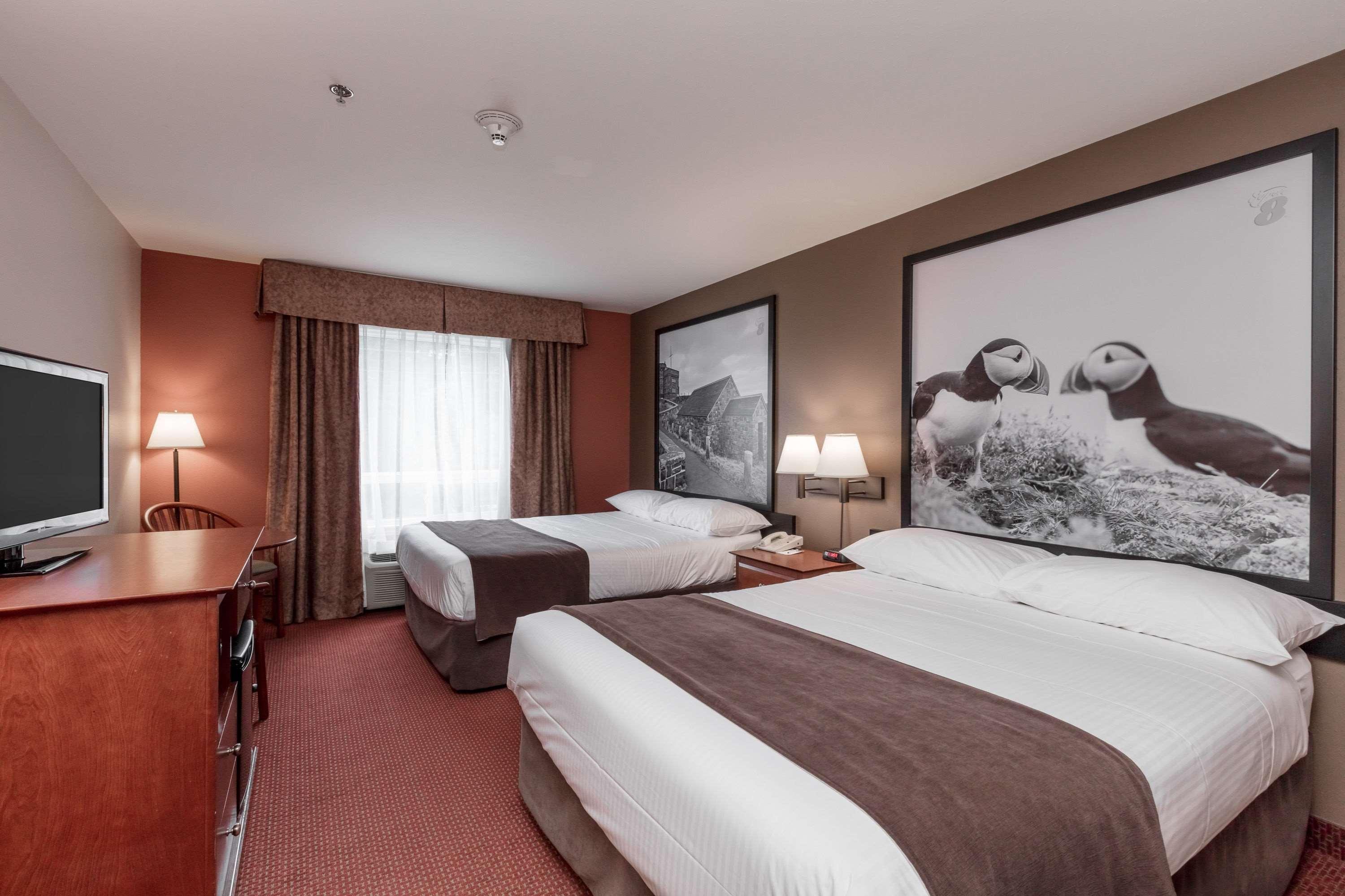 Hotel Super 8 By Wyndham St Johns St. John's Esterno foto