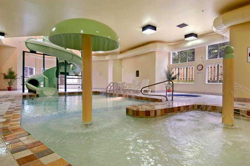Hotel Super 8 By Wyndham St Johns St. John's Esterno foto